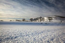 Snowy Hike
